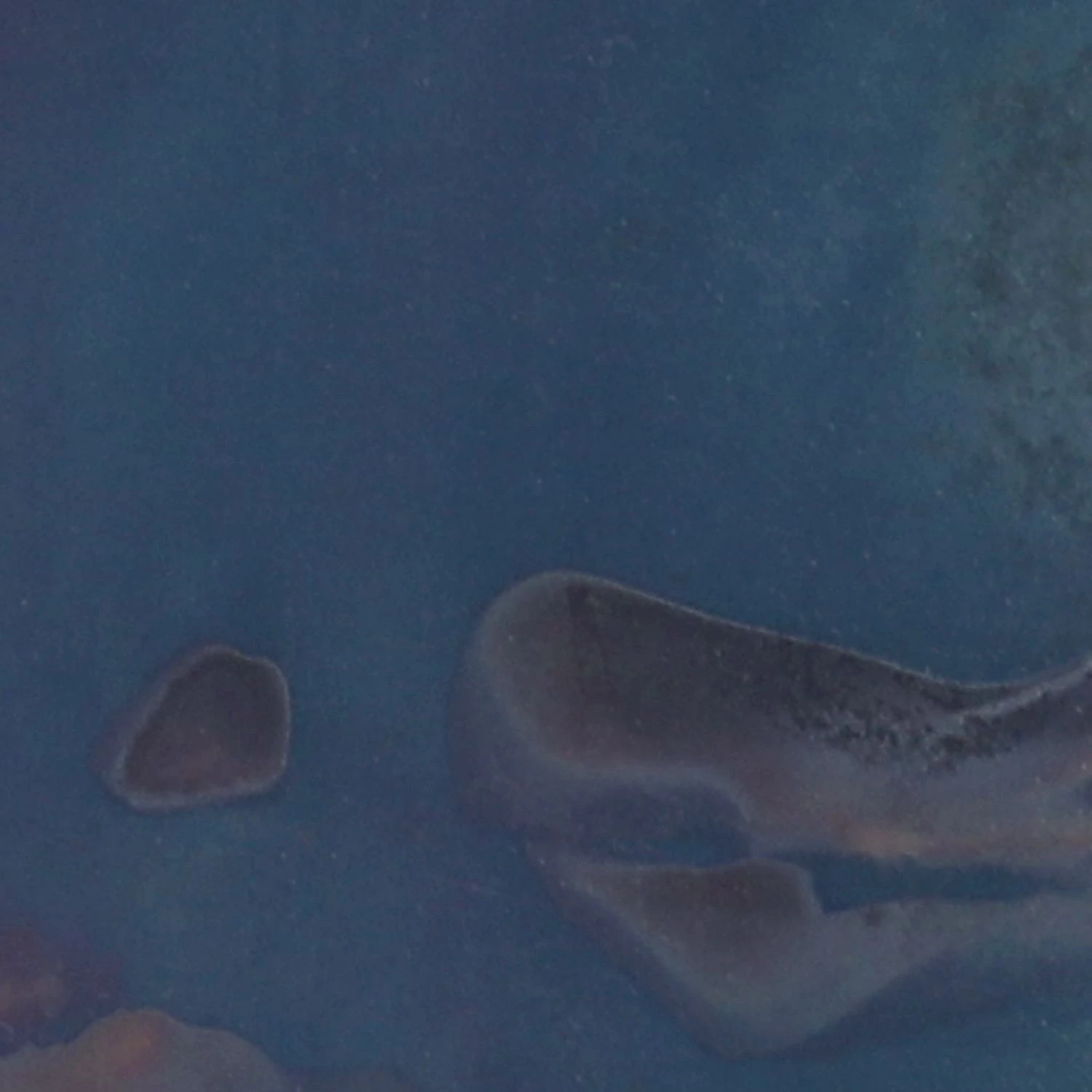 Ars manufacti Buffet Koya - Chêne massif / Manguier massif - Chêne / Manguier 8 Ars manufacti Buffet Koya - Chêne massif / Manguier massif - Chêne / Manguier – Image 6